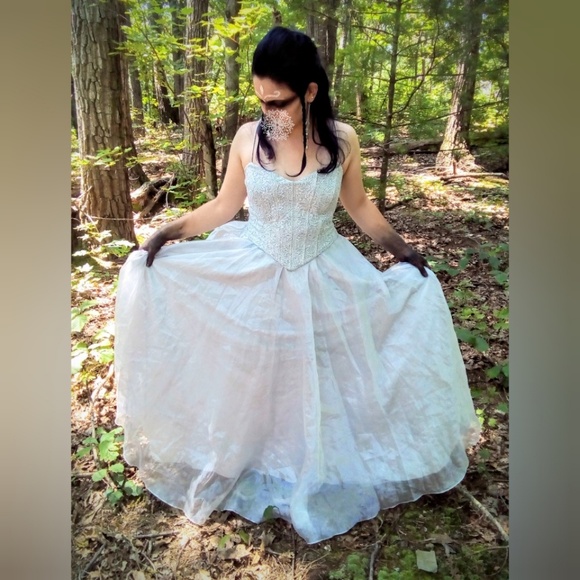 Fiesta Dresses & Skirts - Beautiful Silver Prom/Costume Dress - Good condition